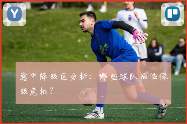 意甲降级区分析：哪些球队面临保级危机？