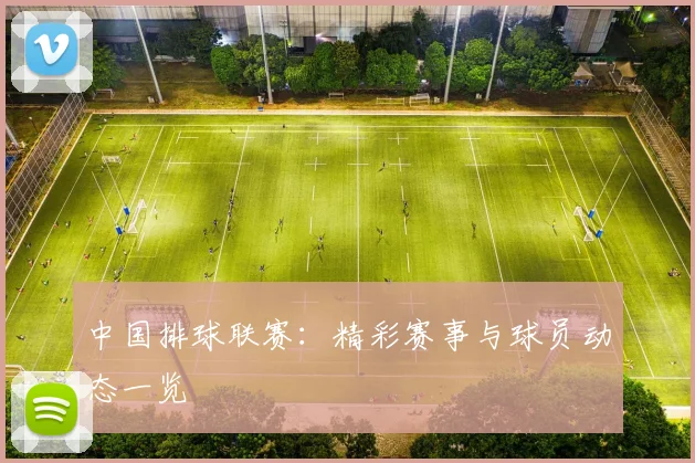 中国排球联赛：精彩赛事与球员动态一览