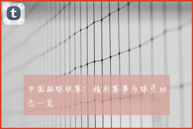 中国排球联赛：精彩赛事与球员动态一览