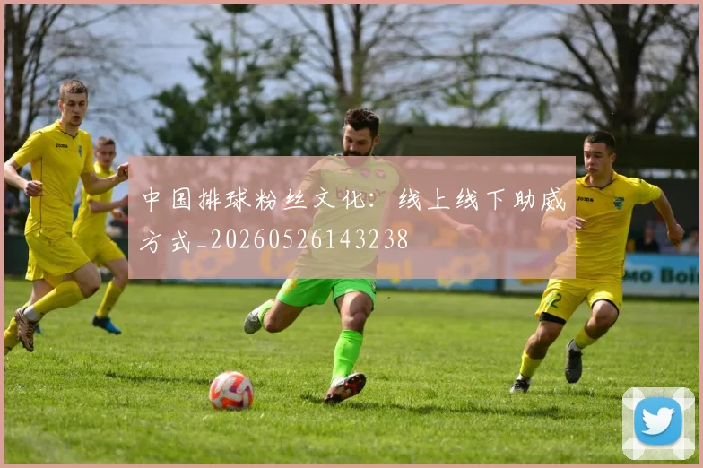 中国排球粉丝文化：线上线下助威方式_20260526143238