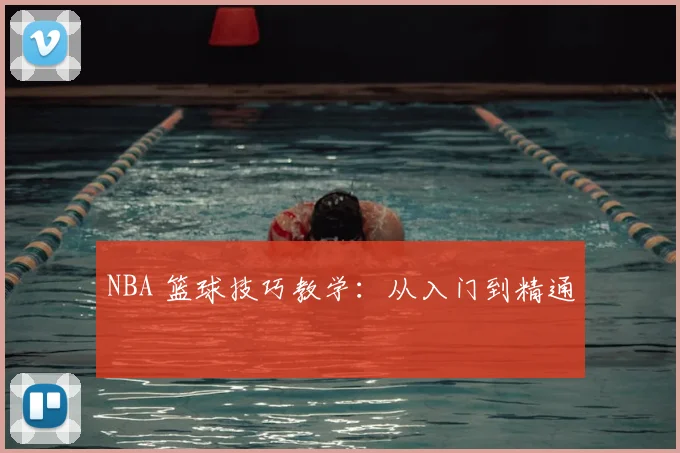 NBA 篮球技巧教学:从入门到精通